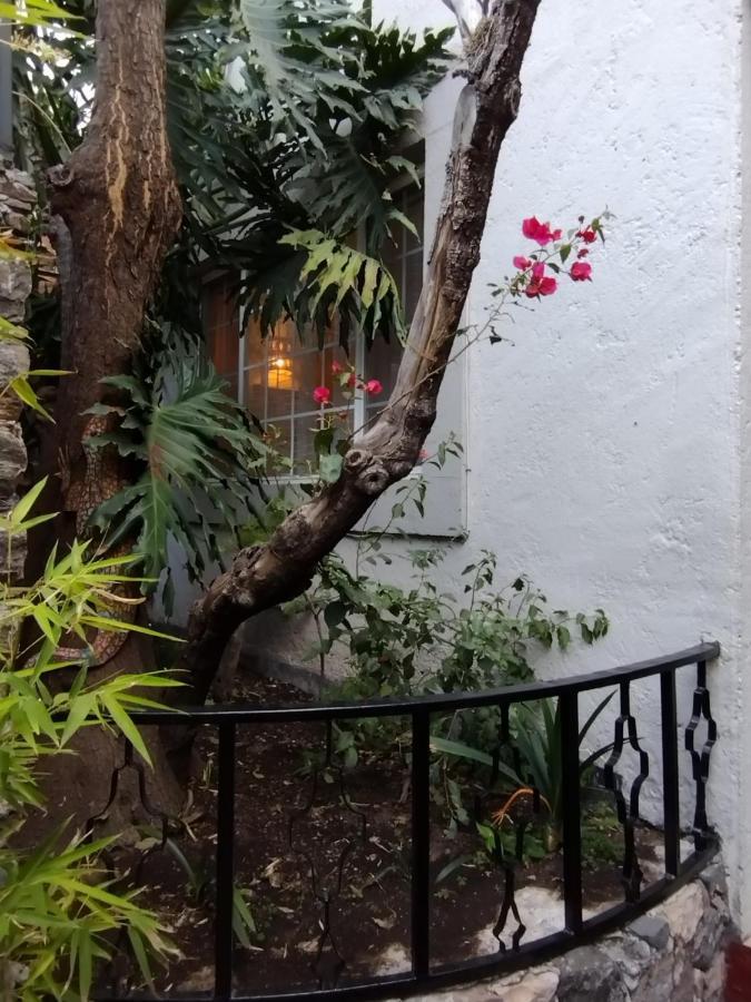 הוילה סאן מיגל דה אלנדה Pied A Terre At Casitas Aparicio מראה חיצוני תמונה