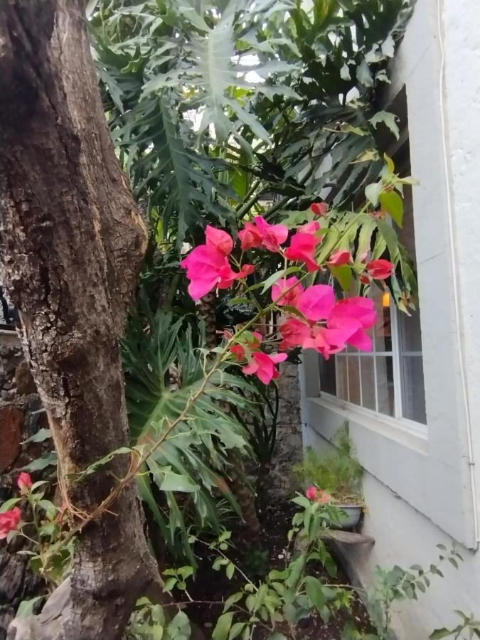 הוילה סאן מיגל דה אלנדה Pied A Terre At Casitas Aparicio מראה חיצוני תמונה